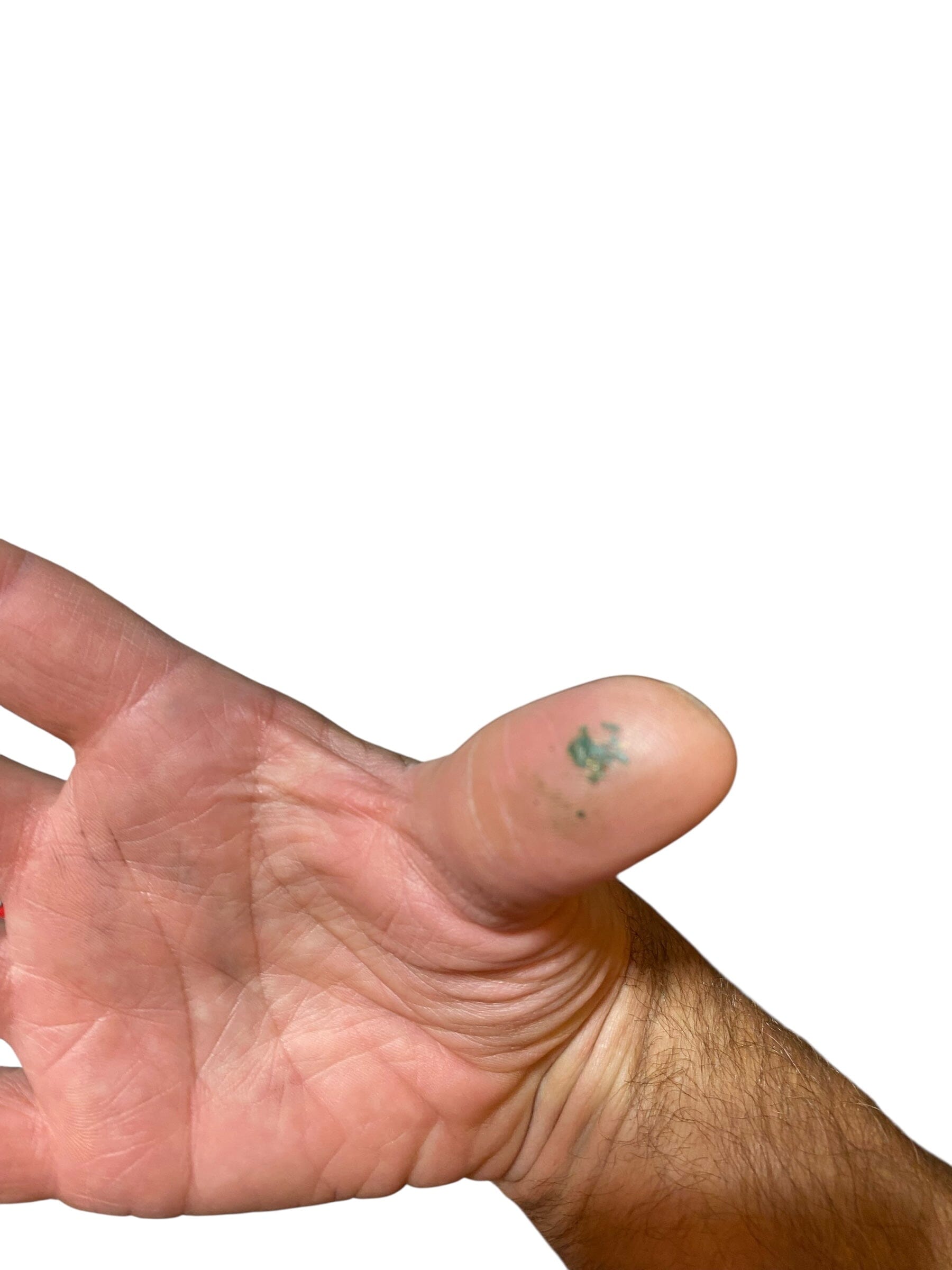 Used Empire EvS Paintball Mask Paintball Gun from CPXBrosPaintball Buy/Sell/Trade Paintball Markers, New Paintball Guns, Paintball Hoppers, Paintball Masks, and Hormesis Headbands