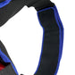 Used Empire Paintball Pod Pack Paintball Gun from CPXBrosPaintball Buy/Sell/Trade Paintball Markers, New Paintball Guns, Paintball Hoppers, Paintball Masks, and Hormesis Headbands