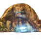 Used LED Light Up Fleece Hat Paintball Gun from CPXBrosPaintball Buy/Sell/Trade Paintball Markers, New Paintball Guns, Paintball Hoppers, Paintball Masks, and Hormesis Headbands