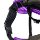 Used Virtue Ascend Paintball Mask Goggles Purple Paintball Gun from CPXBrosPaintball Buy/Sell/Trade Paintball Markers, New Paintball Guns, Paintball Hoppers, Paintball Masks, and Hormesis Headbands