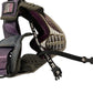Used Virtue Paintball Mask Paintball Gun from CPXBrosPaintball Buy/Sell/Trade Paintball Markers, New Paintball Guns, Paintball Hoppers, Paintball Masks, and Hormesis Headbands
